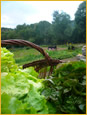 potager legumes masfranc cerdagne