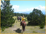 balades à cheval au masfranc