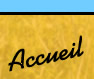 accueil