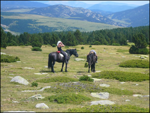 Balades a cheval masfranc